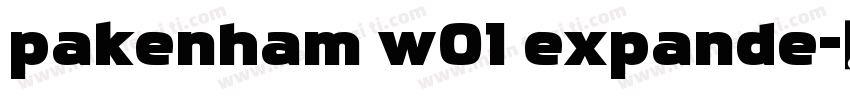 pakenham w01 expande字体转换